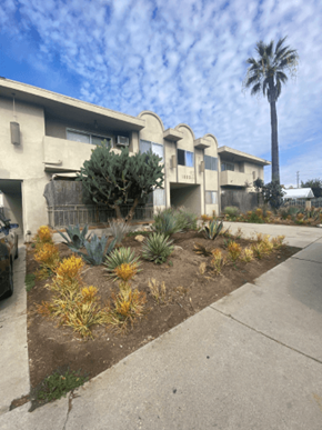 Los Angeles apartment for rent - A row of houses with a palm tree in the front yard.