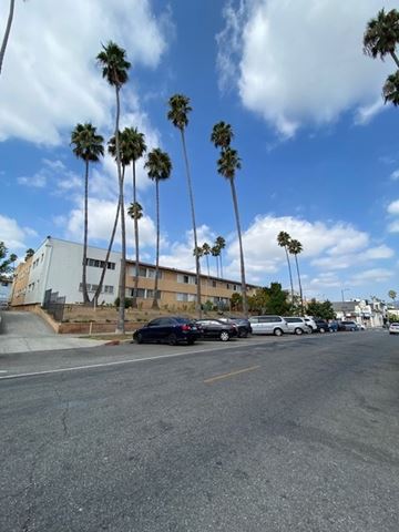 Los Angeles apartment for rent - Palm trees line a street in front of apartment buildings.