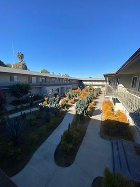 Los Angeles apartment for rent - A sunny day at the courtyard with plants and pathways.