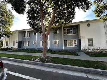 Los Angeles apartment for rent - A tree in front of a grey building with a white door.