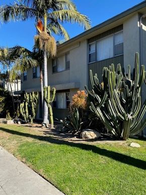 Los Angeles apartment for rent - A cactus with a bird's nest on top stands in front of a building.