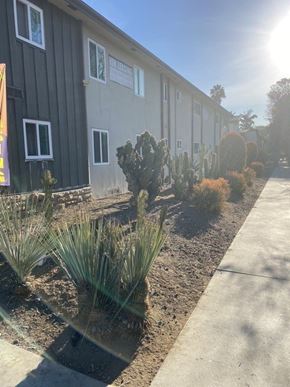 Los Angeles apartment for rent - A sunny day at a residential area with houses and plants.