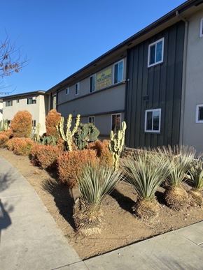 Los Angeles apartment for rent - A row of cacti and succulents in front of a building.