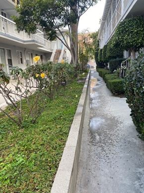 Santa Monica apartment for rent - A wet sidewalk in front of a building with a tree and bushes on the side.