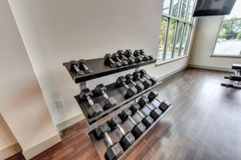 Free weights