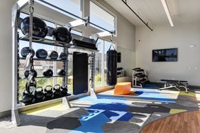 Petaluma apartment for rent - Gym with Wood Floor, Rug, Medicine Balls, Kettle Bells, Punching Bag, Wall Mounted Television, Workout Bench, Mirrors at Addison Ranch Apartments, Petaluma, California