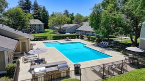 Davis apartment for rent - a swimming pool with lounge chairs and umbrellas in front of a house at Pinecrest Apartments, Davis ,95616