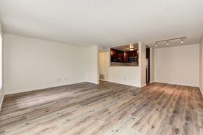 Burbank apartment for rent - Vacant apartment home located on the first floor with hardwood inspired flooring through out with views of the open concept kitchen and dining area. 