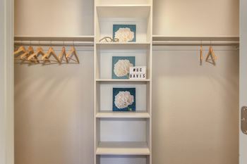 Large extended closet with built-in shelves and lots of hanging space.
