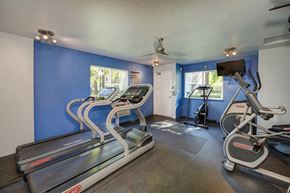 Sacramento apartment for rent - Community fitness center on-site with treadmills, cardio machines and bike.  There are blue accent walls inside the gym room. at Rush River Apartments, Sacramento, 95831