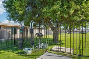 Palm Desert apartment for rent - A metal fence with a gate is in front of a tree and a trash can.