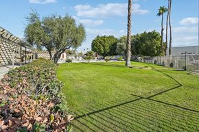 Palm Desert apartment for rent - A large, well-maintained lawn with a fence and trees in the background.