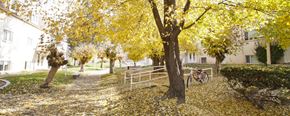 Ogden apartment for rent - fall exterior