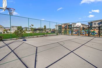 Basketball court