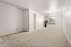 Provo apartment for rent - A spacious room with a carpeted floor and white walls.