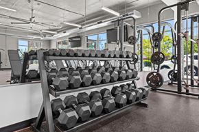 Salt Lake City apartment for rent - A gym with a rack of black dumbbells.