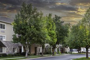 Bountiful apartment for rent - A row of houses with trees in front of them.