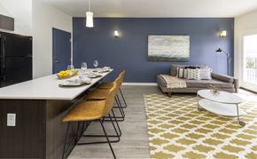 Salt Lake City apartment for rent - a kitchen and living room with a blue accent wall and a yellow and white rug
