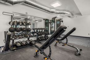 Salt Lake City apartment for rent - A gym with a row of treadmills and a rack of dumbbells.