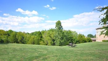 Beautiful lawn