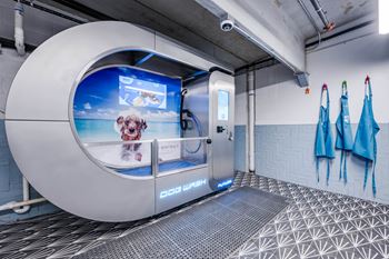 Dog spa for quick, easy wash-ups