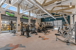 Celina apartment for rent - Modern fitness center with cardio equipment, free weights, and strength training machines.