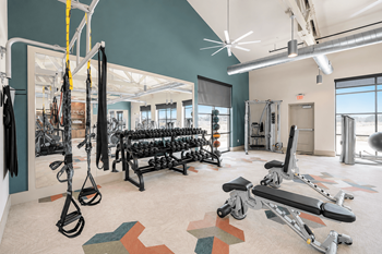 Free weights