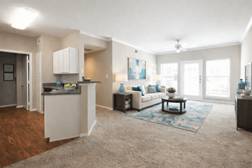 Balch Springs apartment for rent - A living room with a white couch and a blue rug.