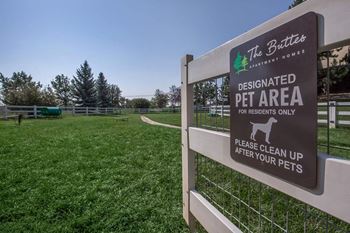 Dog agility park