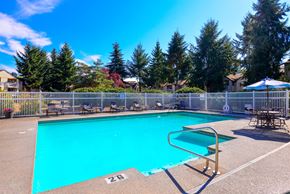 Lacey apartment for rent - Our Pool at Capitol City in Lacey, WA