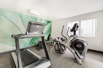Fully equipped fitness center
