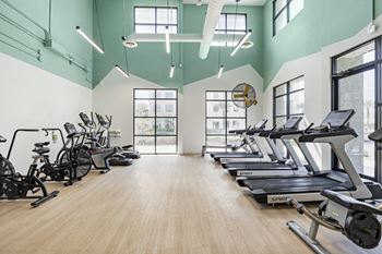The gym with treadmills and ellipticals at the belgard apartments