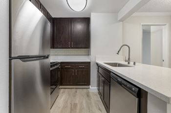 Designer interior features