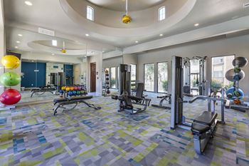 The gym