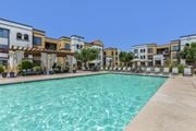 Chandler apartment for rent - Treat yourself to a refreshing swim at Trevi Apartment Homes, where our amenities include a sparkling pool for your enjoyment at Trevi Apartment Homes, Chandler, 85224