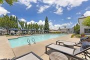 Roseville apartment for rent - Dive into pure relaxation at Ascent at the Galleria’s pool deck in Rosevilla, CA—adorable cabanas and plush lounge chairs surround a sparkling pool, offering serene and stylish outdoor lounging vibes.