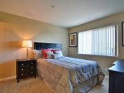 Novato apartment for rent - Private master bedroom with large windows at Crooked Oak at Loma Verde Preserve, CA, 94949