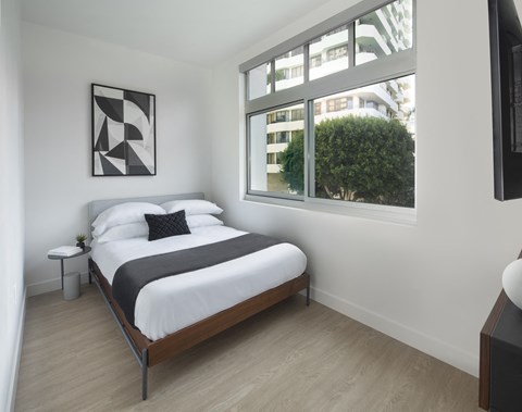 Floor plan for studio, 1 bath, 252 sqft