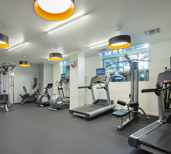 Cardio machines in gym