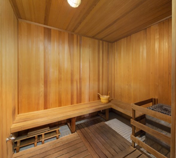 Sauna spot