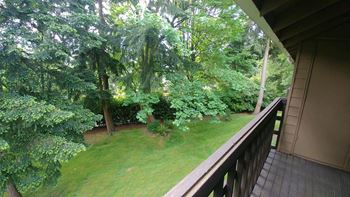 View from balcony