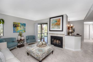 San Diego apartment for rent - a living room with a fireplace and a couch