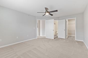 Ceiling fan