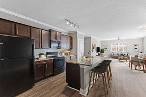 Carmel apartment for rent - Equipped Kitchen at Sunrise on the Monon, Carmel, IN, 46280