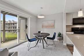 Carmel apartment for rent - Large Patio Doors at Lakes of Carmel Apartments, Indiana