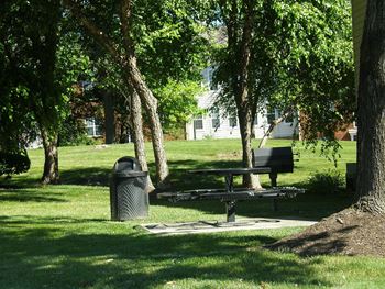 Green park