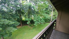 Kirkland apartment for rent - Green Space at Bridlewood, Kirkland, WA