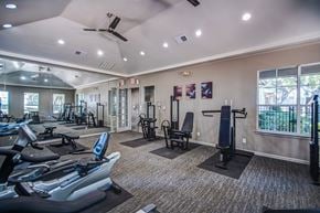 Dallas apartment for rent - A well-lit gym with a variety of exercise equipment.