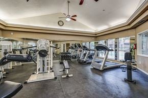 Irving apartment for rent - A gym with a variety of equipment including treadmills, weights, and a bench press.