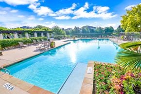 Frisco apartment for rent - Resort-style lap pool with lounge chairs and greenery surrounding it  at Cypress Lake at Stonebriar Apartments, Texas, 75034